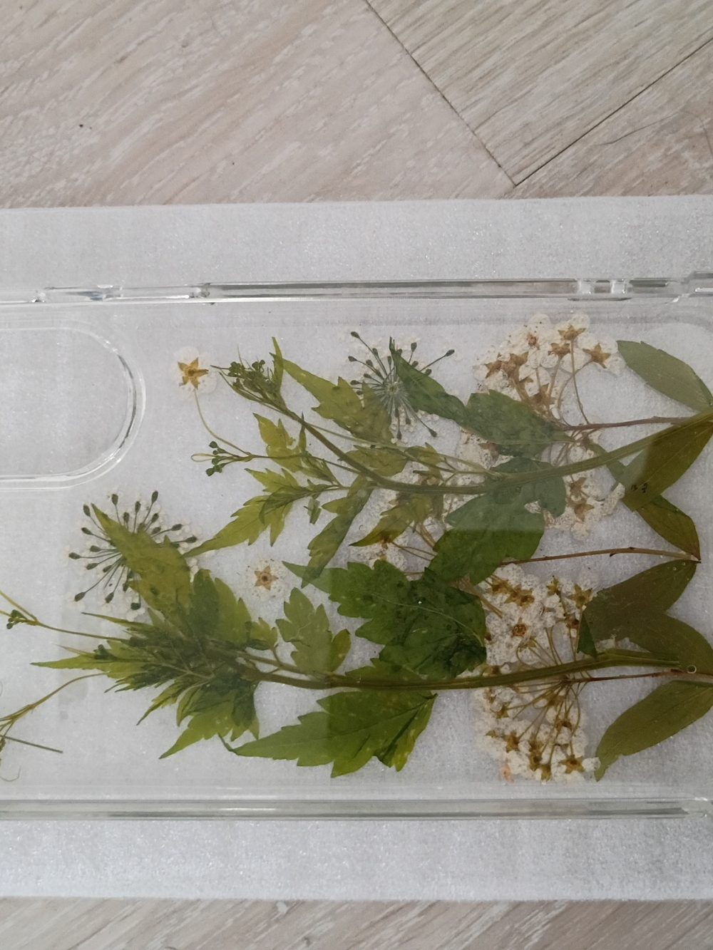 Clear Floral Pressed Flower Phone Case - Transparent Green Accent